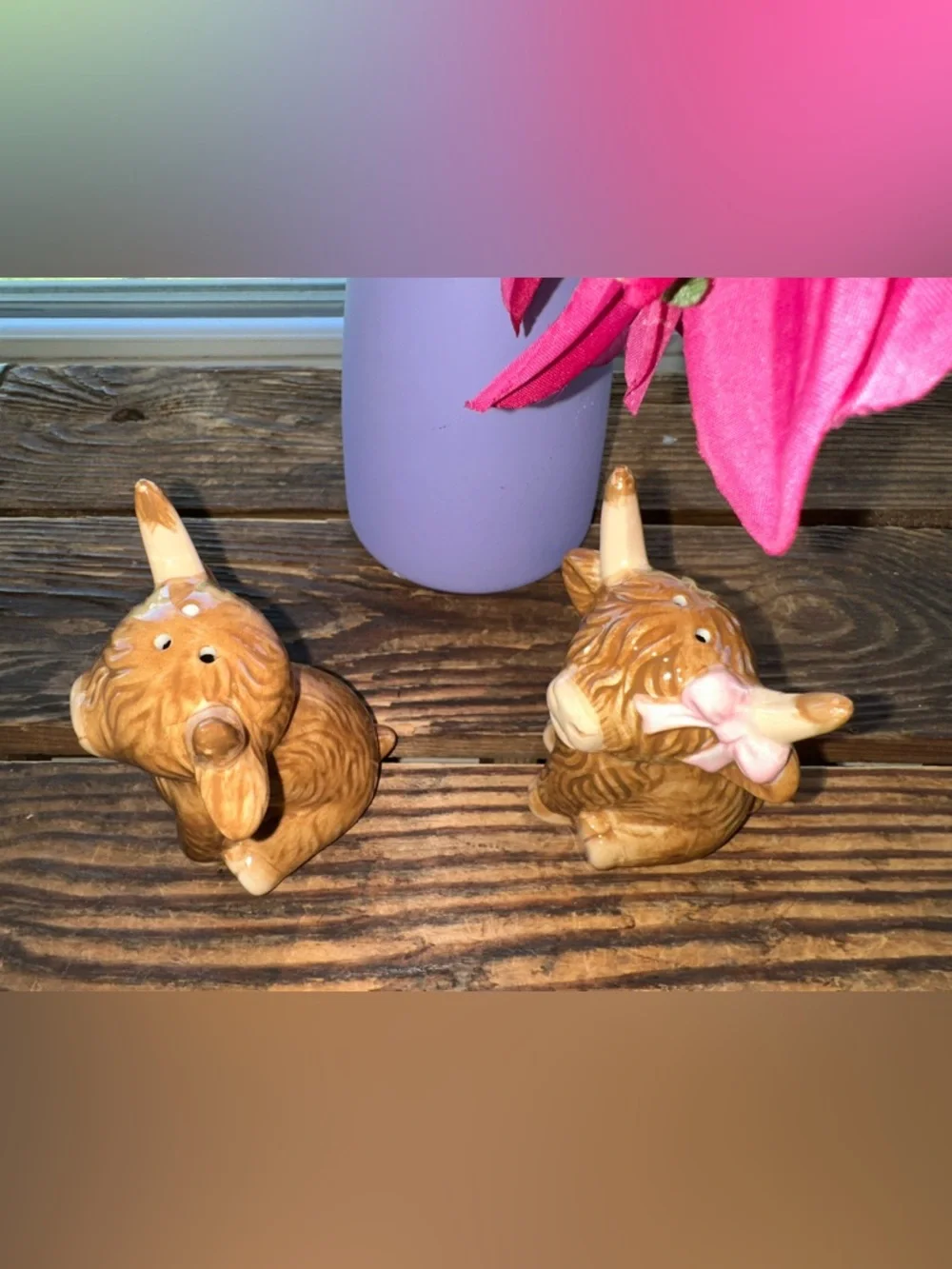 Highland Cows Salt & Pepper Shakers - NIP